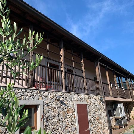 Bibc Wine & Holiday Trieste Bagian luar foto
