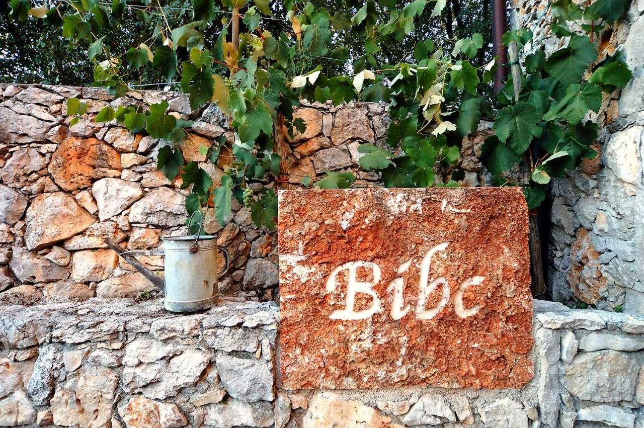 Bibc Wine & Holiday Trieste Bagian luar foto